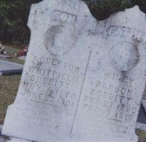 Wiley Parson Bobbitt