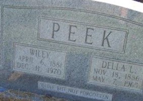 Wiley Peek