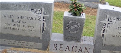 Wiley Sheppard Reagan, Sr