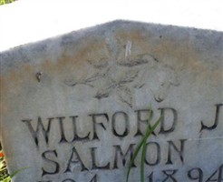 Wilford James Salmon Wilford James Salmon