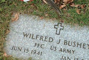 Wilfred J Bushey Wilfred J Bushey