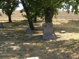 Wilhelm Gerhauser