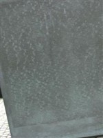 Wilhelm Muller