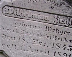 Wilhelmine Metzger Ziegler