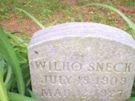 Wilho Sneck