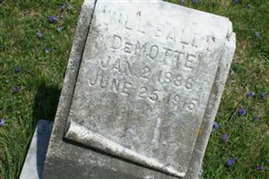Will Baldy DeMott Will Baldy DeMott