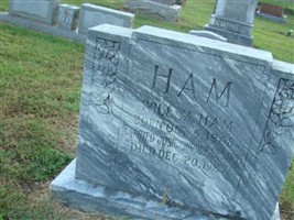 Will M. Ham Will M. Ham
