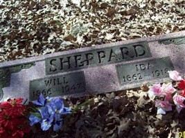 Will Sheppard Will Sheppard