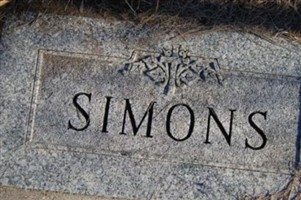 Willard A. Simons