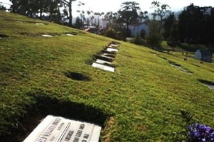 Willard Bennett Covert, Jr