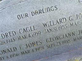 Willard George Jones