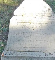 Willard N Allred