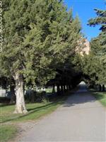 Willard Precinct Cemetery