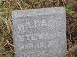Willard Steward
