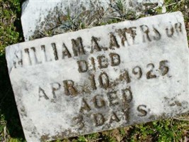William A Akers, Jr William A Akers, Jr
