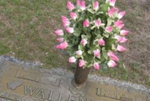 William A. "Allen" Wallenzine William A. "Allen" Wallenzine