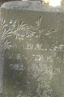 William A Blackshear William A Blackshear