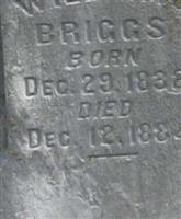 William A Briggs