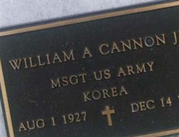 William A Cannon, Jr William A Cannon, Jr