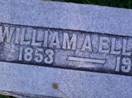 William A. Ellison William A. Ellison