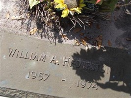 William A Hedleston, II