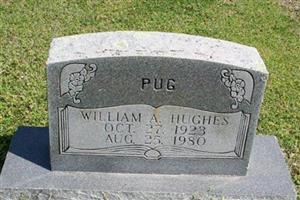 William A. Hughes