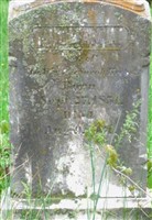 William A. Krebs William A. Krebs