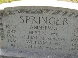 William A Springer William A Springer