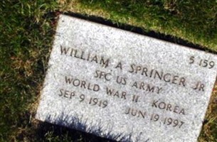 William A Springer, Jr William A Springer, Jr