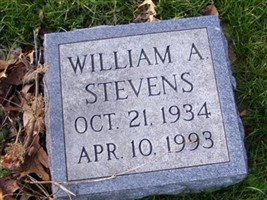 William A Stevens William A Stevens
