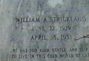 William A Strickland