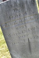 William Adams, Jr William Adams, Jr