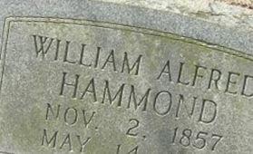 William Alfred Hammond