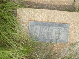 William Allen Carter, Jr