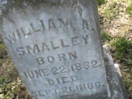 William Anderson Smalley