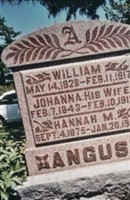William Angus William Angus