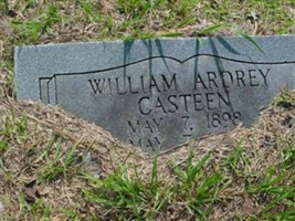 William Ardrey Casteen William Ardrey Casteen