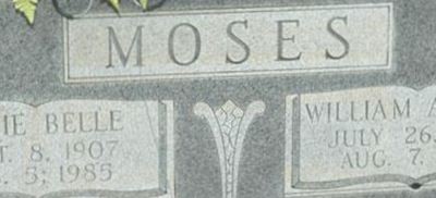William Arthur Moses William Arthur Moses