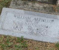 William Aupheus Ashley, Jr