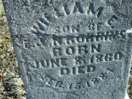 William B Robbins William B Robbins