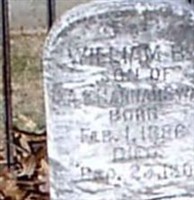 William B Swann