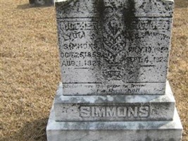 William Beauregard "Willie" Simmons