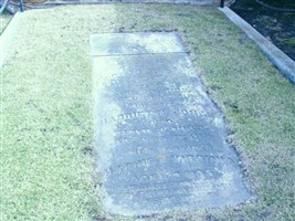 William Bigelow Dodd William Bigelow Dodd