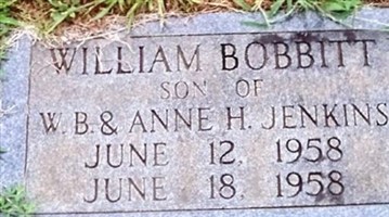 William Bobbitt Jenkins