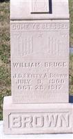 William Bruce Brown