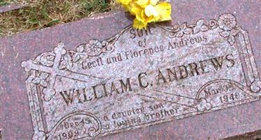 William C Andrews