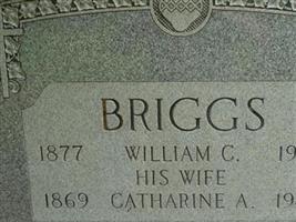 William C. Briggs