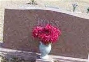 William C Ross William C Ross
