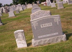 William C Walsh