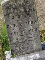 William Clifton Storey